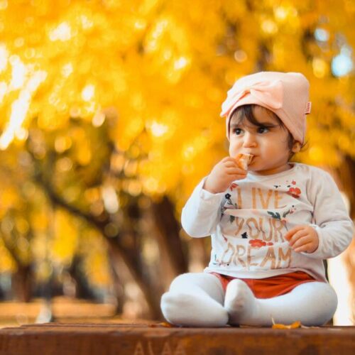 How does Family Aims help you choose the ideal surrogate in United States?